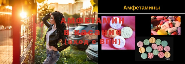 прущие грибы Дубна