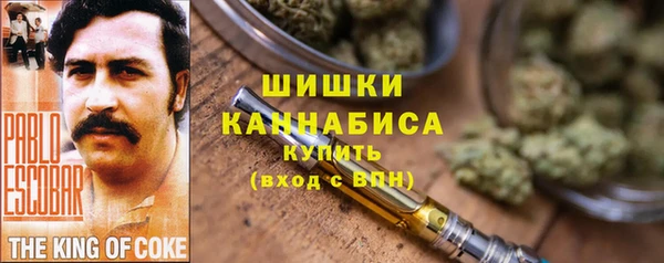 ГАЛЛЮЦИНОГЕННЫЕ ГРИБЫ Вязники