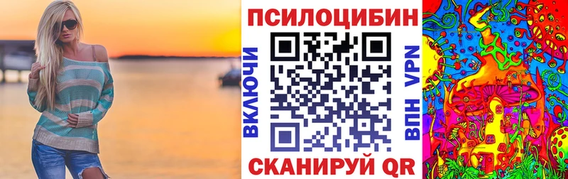 omg онион  Мещовск  Псилоцибиновые грибы мицелий 